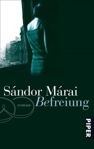 Cover of the book Befreiung by Maarten 't Hart