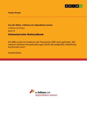 Cover of the book Schweizerische Nationalbank by Jenny Bergel