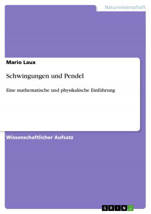 Cover of the book Schwingungen und Pendel by Turhan Yazici