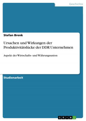 Cover of the book Ursachen und Wirkungen der Produktivitätslücke der DDR Unternehmen by Britta Wehen