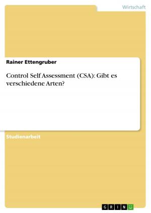 Cover of the book Control Self Assessment (CSA): Gibt es verschiedene Arten? by Kathrin Kutz