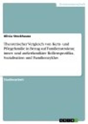 Cover of the book Theoretischer Vergleich von Kern- und Pflegefamilie in Bezug auf Familienstruktur, inner- und außerfamiliäre Rollenspezifika, Sozialisation und Familienzyklus by Johannes Ohnmacht