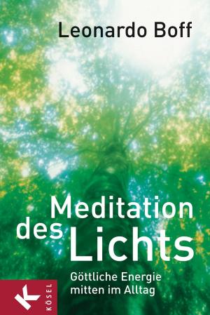 Cover of the book Meditation des Lichts by Rupert Dernick, Werner Tiki Küstenmacher