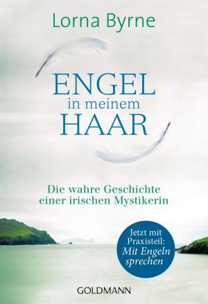 Cover of the book Engel in meinem Haar by Dirk Grosser