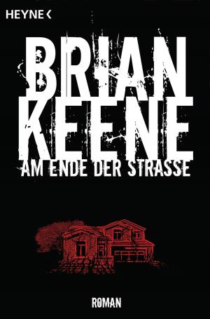 Cover of the book Am Ende der Straße by Gisbert Haefs