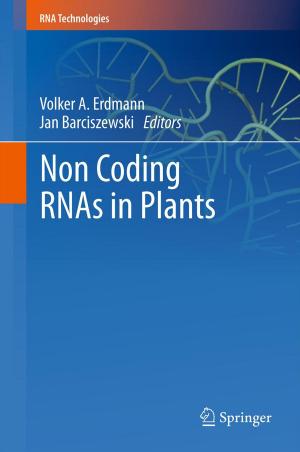 Cover of the book Non Coding RNAs in Plants by Hongsheng Bai, Zhiliang Li, Giulio Morteani, Robert B. Trumbull