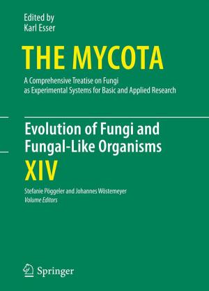 Cover of the book Evolution of Fungi and Fungal-Like Organisms by Bernd Woeckener