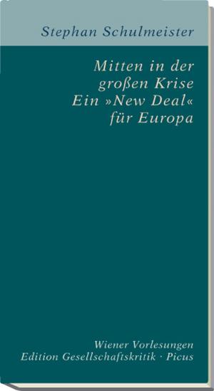 Cover of the book Mitten in der großen Krise. Ein "New Deal" für Europa by Christoph Hein, Udo Schmidt