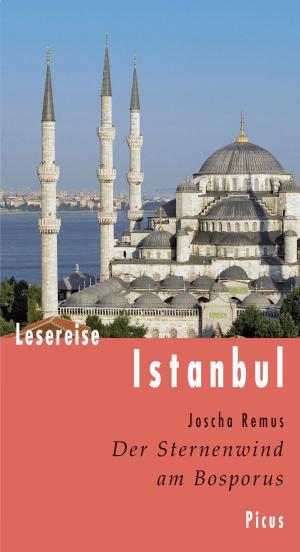 Cover of the book Lesereise Istanbul by Jana Herwig, Anton Tantner