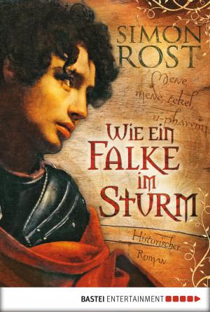 Cover of the book Wie ein Falke im Sturm by Hedwig Courths-Mahler