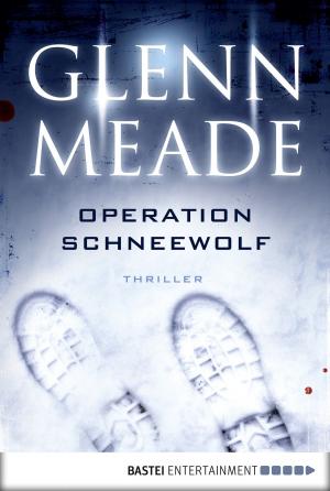 Cover of the book Operation Schneewolf by Marten Veit
