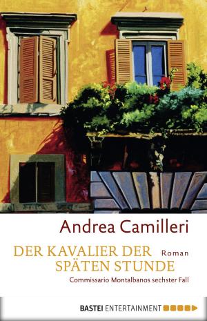 Cover of the book Der Kavalier der späten Stunde by Verena Kufsteiner