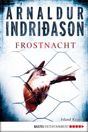 Cover of the book Frostnacht by Gérard de Villiers