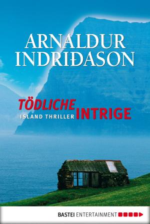 Cover of the book Tödliche Intrige by Andreas Kufsteiner