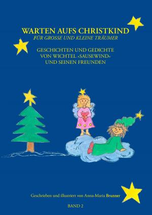 Cover of the book Warten aufs Christkind, Band II by Jörg Becker