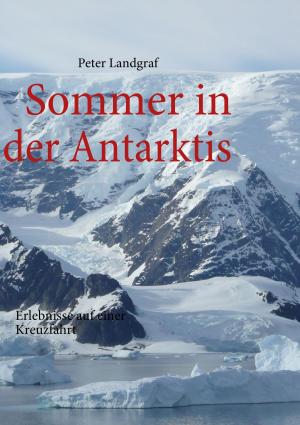 Cover of the book Sommer in der Antarktis by Klaus Hinrichsen