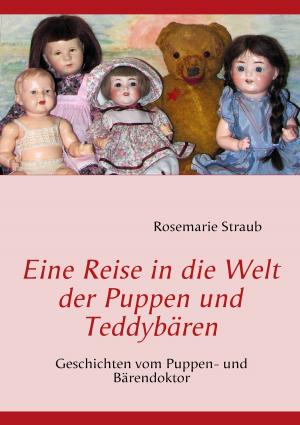 Cover of the book Eine Reise in die Welt der Puppen und Teddybären by Susanne Hottendorff