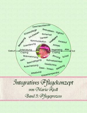 Cover of the book Integratives Pflegekonzept, Band 3: Pflegeprozess by Ursula Jäger, Markus Jäger