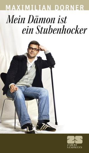 Cover of the book Mein Dämon ist ein Stubenhocker by ZS-Team