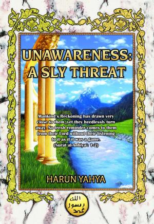 Book cover of Unawareness: A Sly Threat