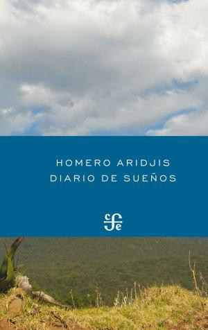 Cover of the book Diario de sueños by Andrea Martínez Baracs
