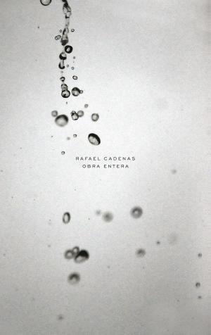 Cover of the book Obra entera by Tomás Segovia