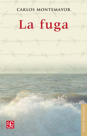 Cover of the book La fuga by Margo Glantz