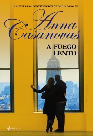 Cover of the book A fuego lento by Lucía Méndez