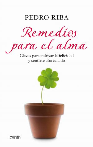 Cover of the book Remedios para el alma by Mariel Ruggieri