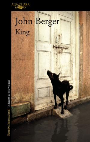 Cover of the book King by Luigi Garlando