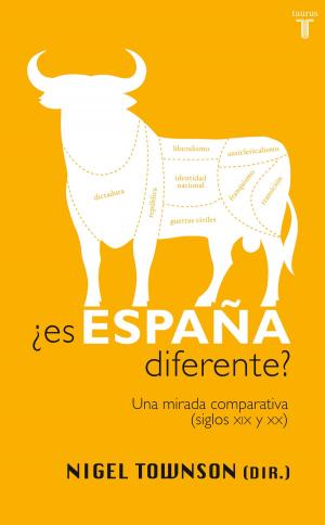 bigCover of the book ¿Es España diferente? by 
