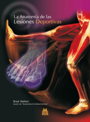 Book cover of La anatomía de las lesiones deportivas (Color)