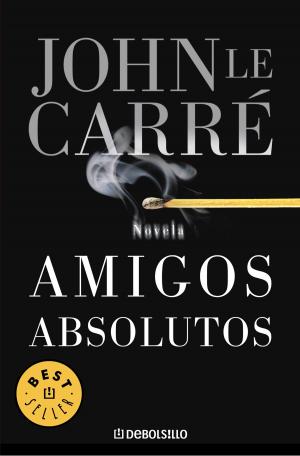 Cover of the book Amigos absolutos by María Luz Gómez