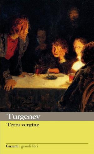 Cover of the book Terra vergine by Snorri Sturluson