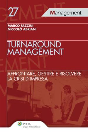 Cover of the book Turnaround Management by Piero Schlesinger, Claudio Consolo