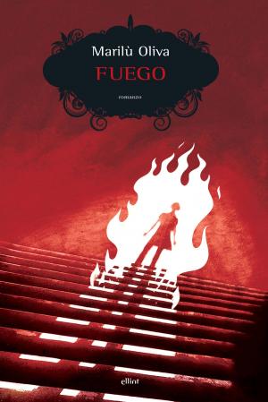 Cover of the book Fuego by Robert Rushton