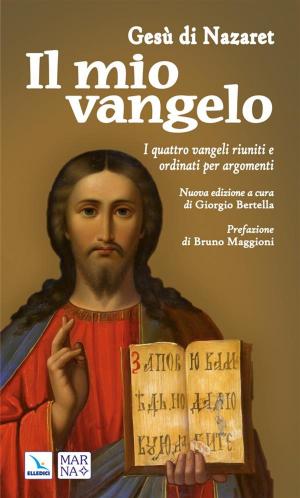 Cover of the book Il mio Vangelo by Laura Penati