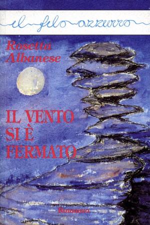 Cover of the book Il vento si è fermato by Paolo Azzimondi