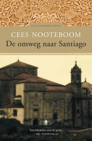 Book cover of De omweg naar Santiago