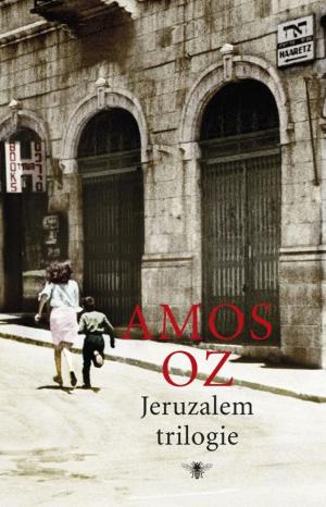 Cover of the book Jeruzalem trilogie by Paul Auster