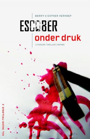 Cover of the book Onder druk by RJ Crayton