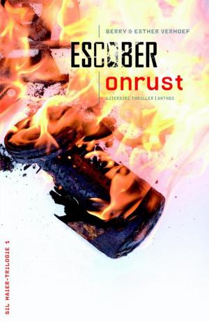 Cover of the book Onrust by Greg Wilburn