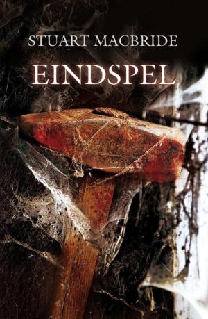 Book cover of Eindspel