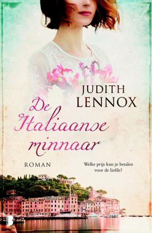 Cover of the book De Italiaanse minnaar by Petra Vollinga