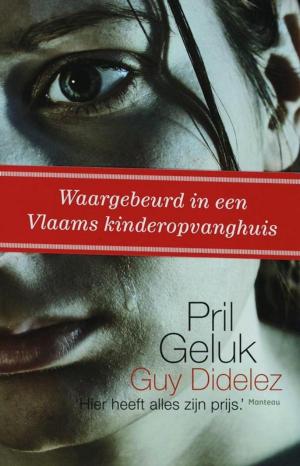 Cover of Pril geluk