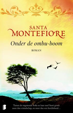Cover of the book Onder de ombu-boom by Sue Grafton