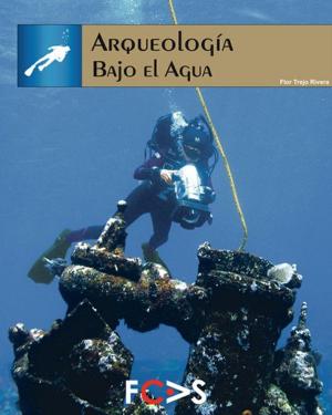 Cover of the book Arqueología bajo el agua by Luis Alberto Martos López