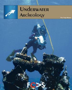 Cover of the book Underwater Archeology by Eleanor Heartney, Helaine  Posner, Nancy Princenthal, Sue Scott