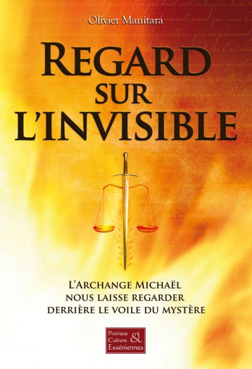 Cover of the book Regard sur l'invisible by Olivier Manitara, Editions Essenia