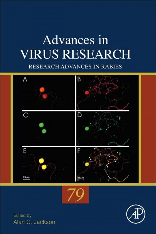 Cover of the book Research Advances in Rabies by Alan C. Jackson, Elsevier Science